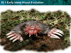 10.1 Early Ideas About Evolution