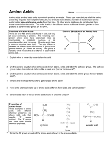 Amino Acids - Chavis Biology