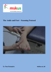 The Ankle and Foot – Scanning Protocol