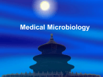 Medical Microbiology