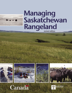 Managing Saskatchewan Rangeland