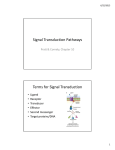 Signal Transduction Pathways Terms for Signal Transduction