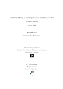 Homotopy Theory of Topological Spaces and Simplicial Sets