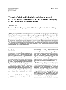 The role of nitric oxide in the hypothalamic control of LHRH and