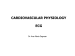 Cardio-vascular Physiology 3