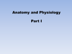 Anatomy and Physiology Part I