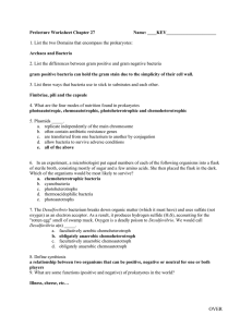 Prelecture Worksheet Chapter 27