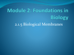 module 2 2.1.5 biological membranes student version