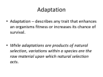 Adaptation and speciation slide show