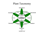 Scope and Development of Plant Taxonomy - Powerpoint for