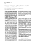 Detection in situ of genomic regulatory elements in Drosophila