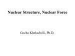 Nuclear Structure, Nuclear Force