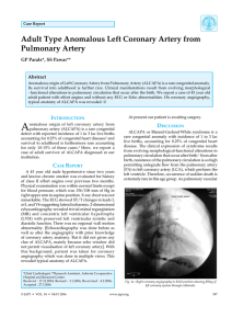Adult Type Anomalous Left Coronary Artery from Pulmonary Artery