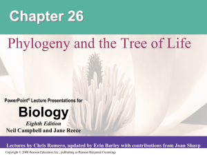 Chapter 26 - Phylogeny and the Tree of Life