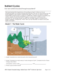 Model 2 – The Carbon Cycle
