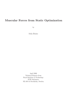 Muscular Forces from Static Optimization