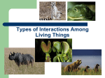 Interactions Among Living Things
