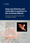 Deep-sea fisheries and vulnerable ecosystems in the northeast