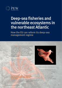 Deep-sea fisheries and vulnerable ecosystems in the northeast