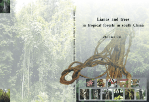 Lianas and trees in tropical forests in south China