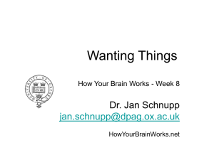 Wanting Things - How Your Brain Works