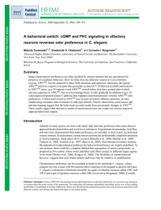 A behavioral switch: cGMP and PKC signaling in olfactory neurons