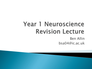 Neuro Summary Lecture