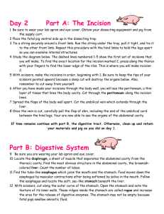Fetal Pig Dissection Instructions Digestive System
