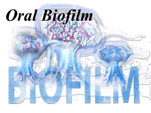 Features of biofilms