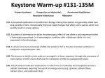 Keystone Warm-up #131-135M
