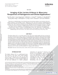 Imaging of the Lamina Cribrosa in Glaucoma: Perspectives of