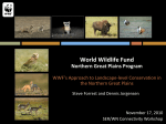 World Wildlife Fund - Global Restoration Network