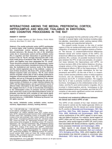 View PDF - Center for Complex Systems and Brain Sciences