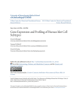 Gene Expression and Profiling of Human Islet Cell Subtypes