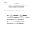 Biology 12 Digestive System The digestive process can be divided