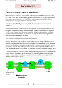 Electron transport chains in mitochondria