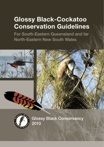 Glossy Black-Cockatoo Conservation Guidelines