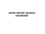Upper Motor Neuron