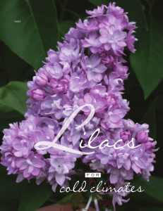 Lilacs for Cold Climates (A3825) - UW Learning Store