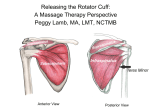 Releasing the Rotator Cuff: A Massage Therapy Perspective Peggy