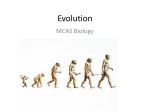 Evolution