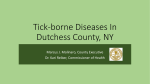 Tick- Borne Disease Epidemiology Dutchess County, NY