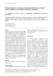 Effects of Aging on Activities of Mitochondrial Electron Transport