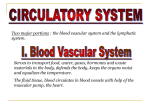 circulatory