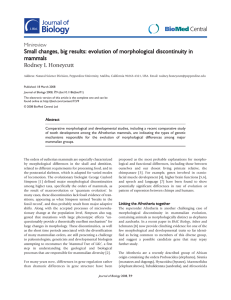 Small changes, big results: evolution of morphological discontinuity