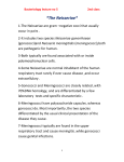 Bacteriology lecture no 5 2nd class *The Neisseriae