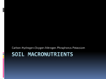 Soil Macronutrients - montgomery.k12.ky.us