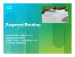 Segment Routing - Technology and Use Cases