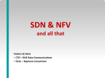popular short SDN + NFV talk