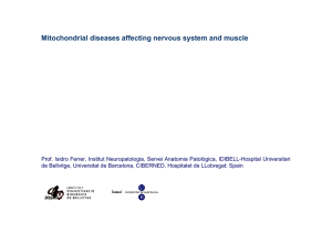 Mitochondrial diseases affecting nervous system and muscle